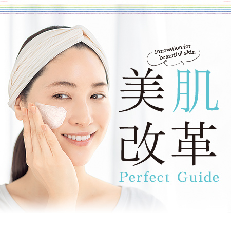 美肌改革 Perfect Guide