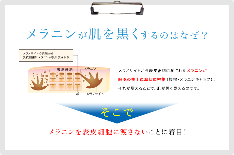総額	,000相当 中から！外から！実感美白プレゼントキャンペーン