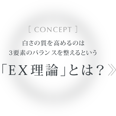 EX理論とは？