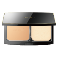 Powder foundation