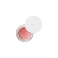 Cheek base