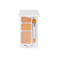 Concealer palette