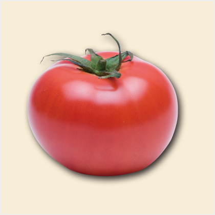 vol.7「トマト」