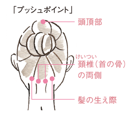 髪の生え際＝後頭部中央の凹みと耳の後ろの骨の中間。