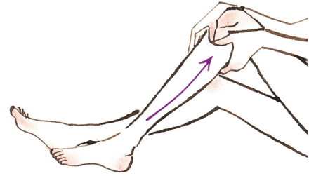足三里＝ひざのおさらから指3本分下にある骨の外側のくぼみ。