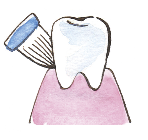 歯ブラシに歯みがき粉を1cmほどつけて、歯と歯ぐきの間に当て小刻みにブラッシング。歯だけでなく歯ぐきも洗うイメージで。