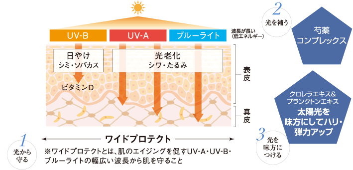 1 光から守る ※ワイドプロテクトとは、肌のエイジングを促すUV-A・UV-B・ブルーライトの幅広い波長から肌を守ること 2 光を補う 3 光を味方につける