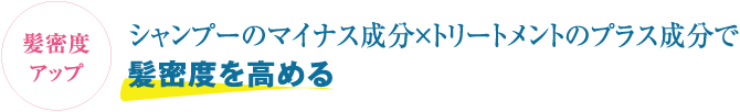 髪密度アップ シャンプーのマイナス成分×トリートメントのプラス成分で髪密度を高める