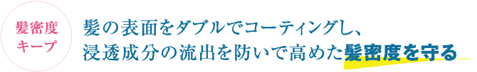 髪密度キープ 髪の表面をダブルでコーティングし、浸透成分の流出を防いで高めた髪密度を守る