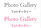 Photo Gallery フォトギャラリー