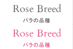 Rose Breed バラの品種
