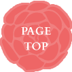 PAGE TOP