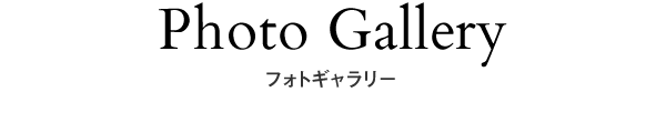 News 新着情報